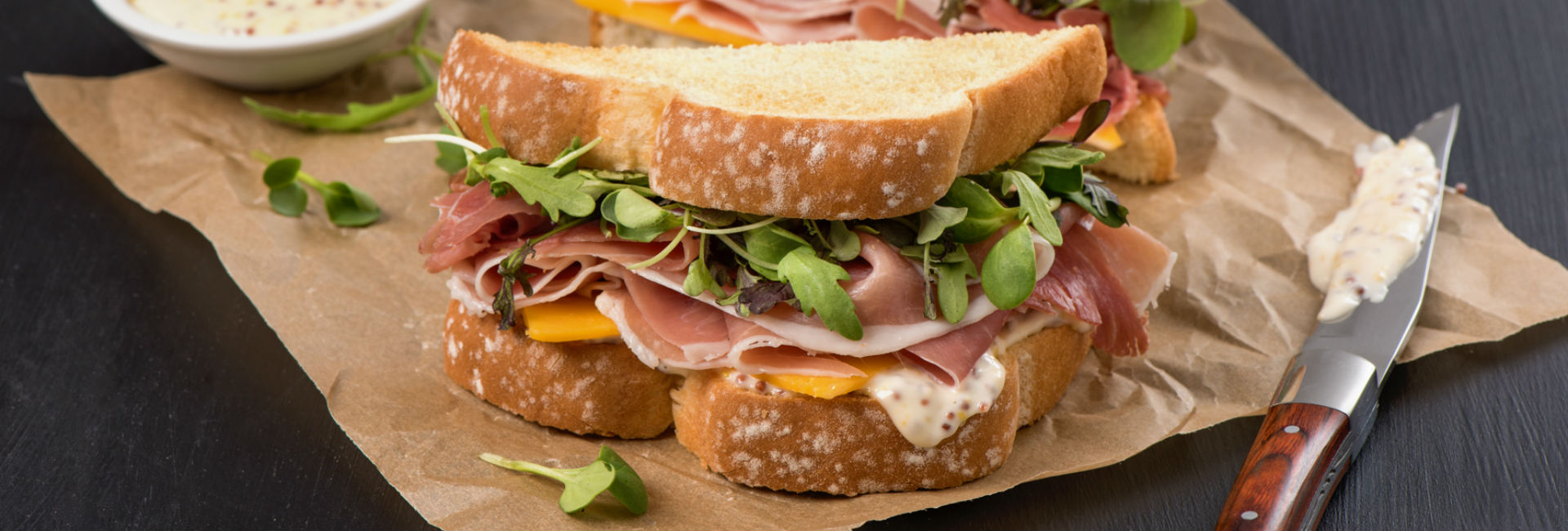 Quick and Tasty Toasted Prosciutto and Cheese Sandwich Villaggio